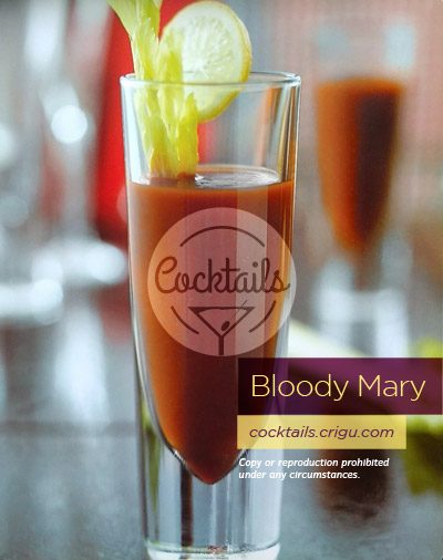 Bloody Mary cocktail with Vodka Bloody Mary cocktail with Vodka
